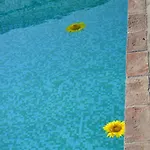 Agriturismo Il Feudo 컨트리하우스 *