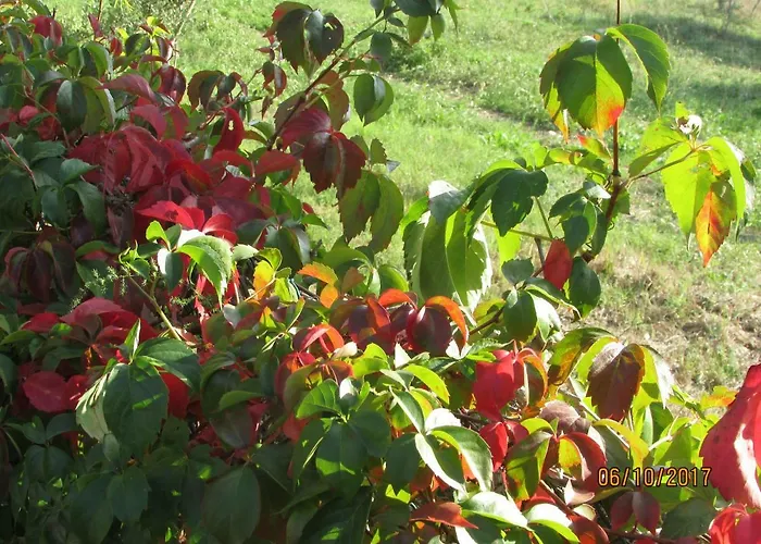 Agriturismo Il Feudo Γκροσέτο